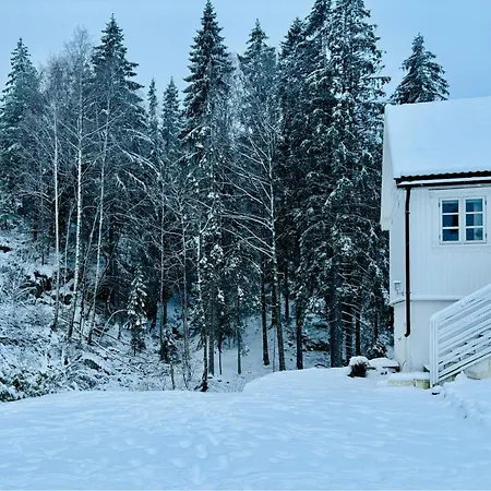 Beautiful House In