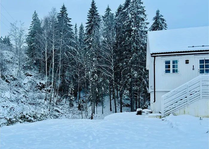 Beautiful House In